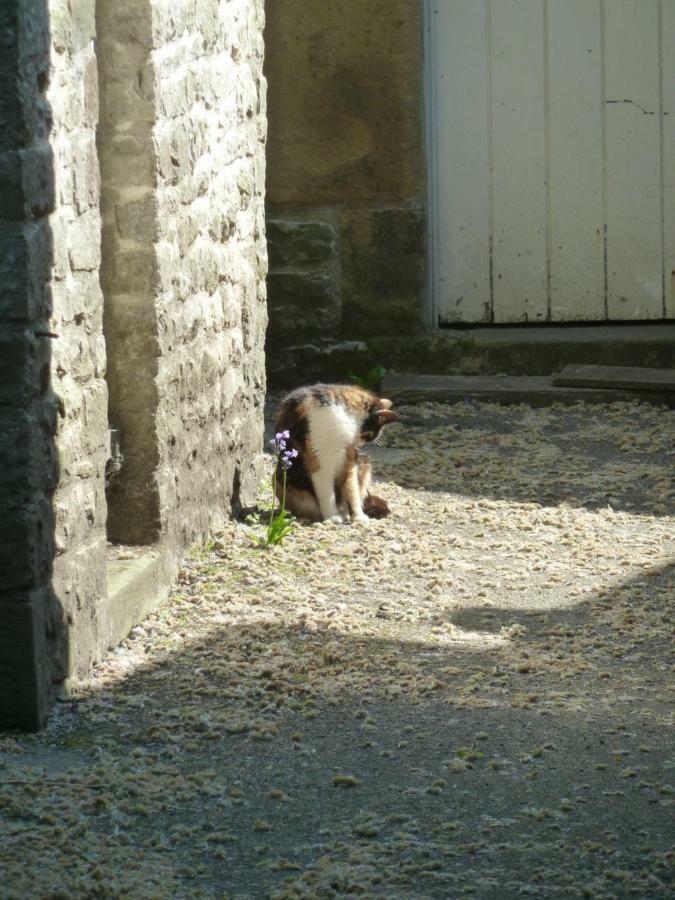 The Old Vicarage B&B Tideswell Exterior foto